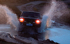фото "Driving"