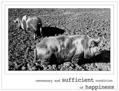 photo "sufficient condition"