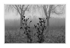 фото "GrowingUp"