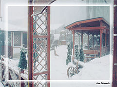 photo "Winter fog 2"