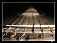 photo "Life on a string"