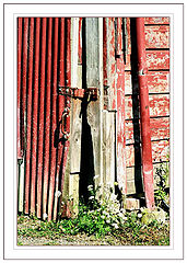 photo "The Door"