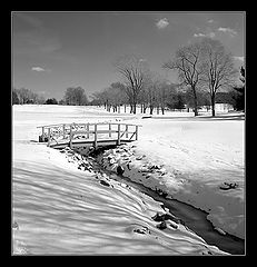 photo "The Bridge"