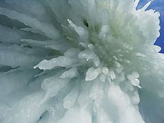 фото "Ледяной цветок"