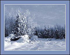photo "Untitled photo"