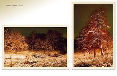 photo "It is dear in a fairy tale III"