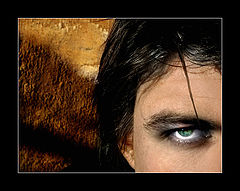 photo "The Eye II"