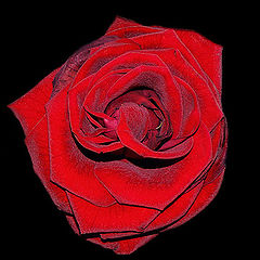 photo "red on the black"