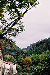 photo "Landscape"