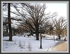photo "Untitled photo"