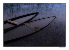 photo "Into the Dark"