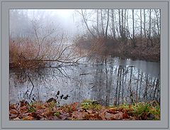 photo "Untitled photo"