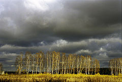 photo "Untitled photo"
