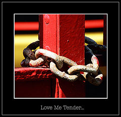 photo "Love Me Tender..."