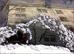 photo "Untitled photo"