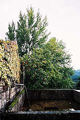 photo "The water is falling"