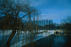 photo "Under the blue sky"