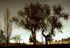 фото "oil painting"