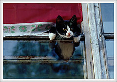 photo "Knowledge of the world."