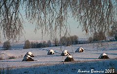 photo "Winter"