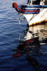 фото "Reflections"