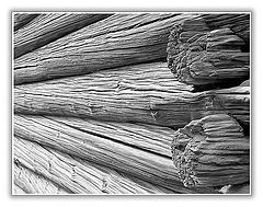 фото "Texture#2"