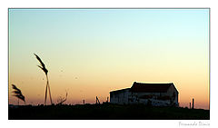 photo "House in prairie"
