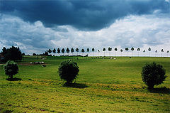 photo "Before the Storm"