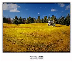 photo "On the farm"