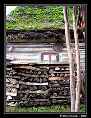 фото "Untitled"