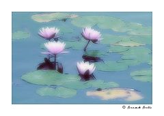 photo "Floating Dreams"