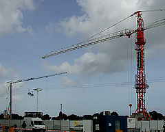photo "My two Cranes"
