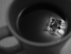 photo "Things With Soul #1"