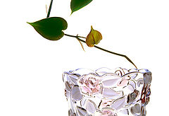 фото "no title 2"