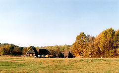 photo "Fall Mood"