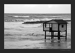 photo "Season is over"