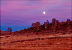 фото "moonrise"
