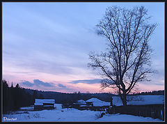 photo "On fringe sowed;sown"