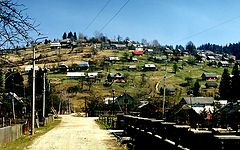 photo "Full Hill"