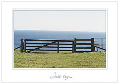photo "Just Try..."