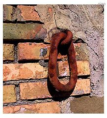 фото "Rusty"