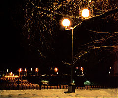 photo "Night"