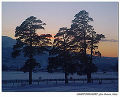 photo "Three Brothers"