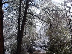 photo "My Magical Mountain Pathway....."