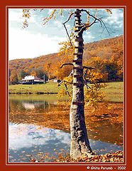 фото "Autumn"