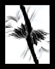 photo "Two Flowers..."