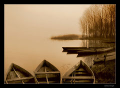 photo "The Lake"