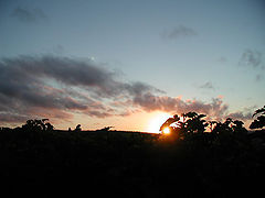 фото "* The sun go to dream *"