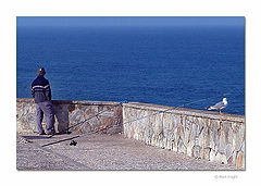 photo "Waiting and Relaxing"