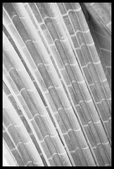 фото "lines"